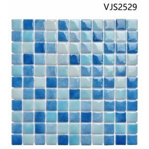VJS 2529